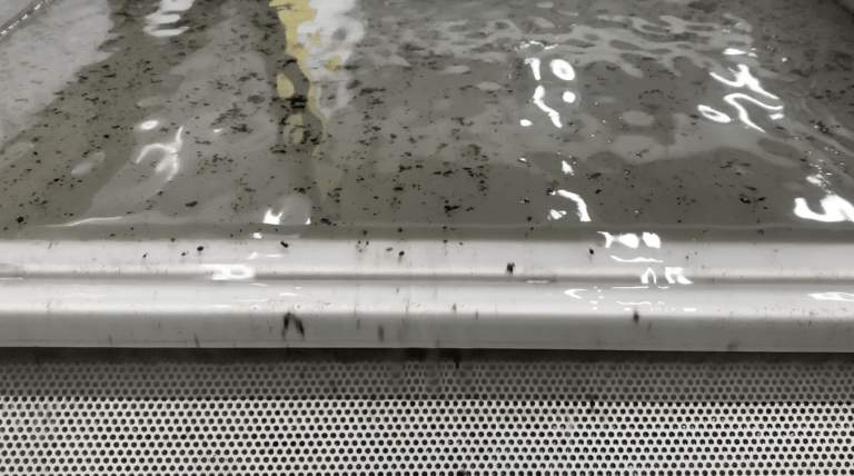 Das Bild zeigt, wie das Zirkulationssystem der Sonickleen Eco Oberflächenöl und Schmutz entfernt und so verhindert, dass sich Oberflächenverunreinigungen erneut auf frisch gereinigten Teilen festsetzen.